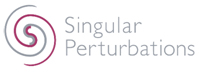 株式会社Singular Perturbations